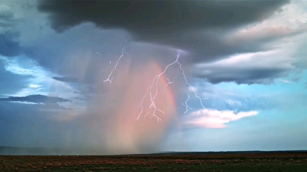 "按照大自然的规律 你该遇见我了"