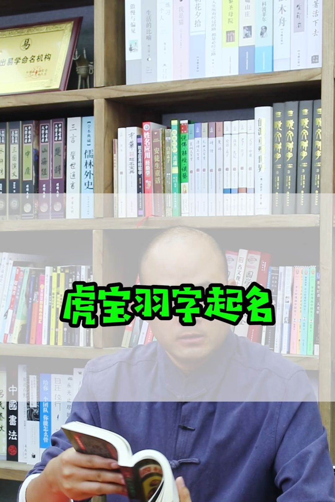 虎宝羽字取名,好上加好.哔哩哔哩bilibili