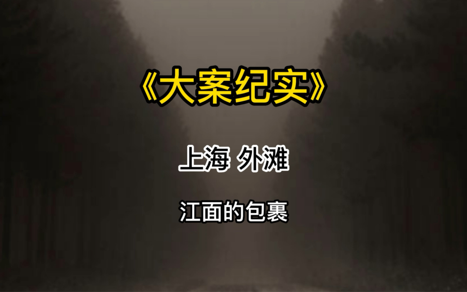 上海外滩碎尸案江中出现的女尸其腹中还有一个九个月大的胎儿哔哩哔哩bilibili