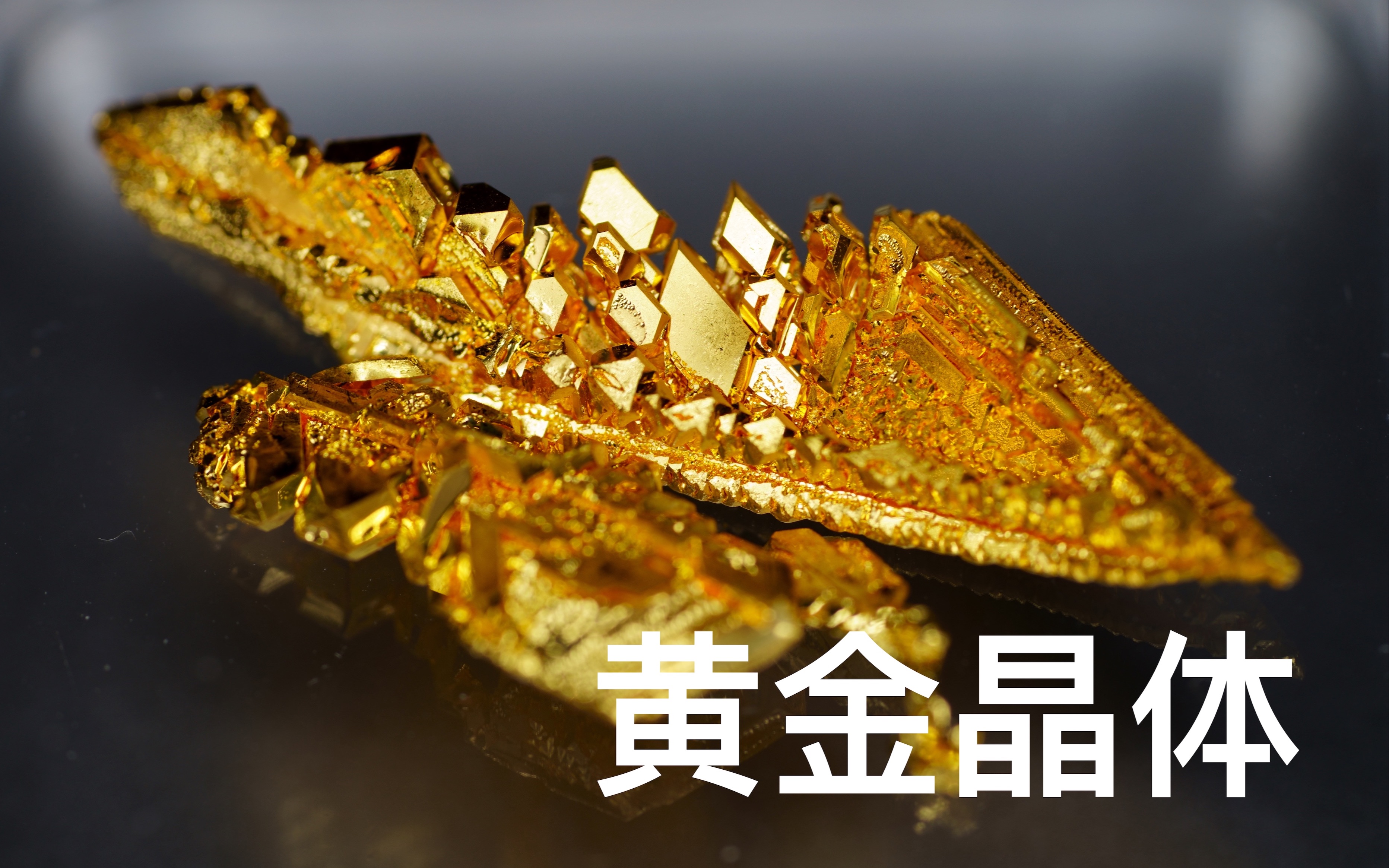 【8k】黄金晶体是什么样的?不同方法制成的金晶体和黑磷