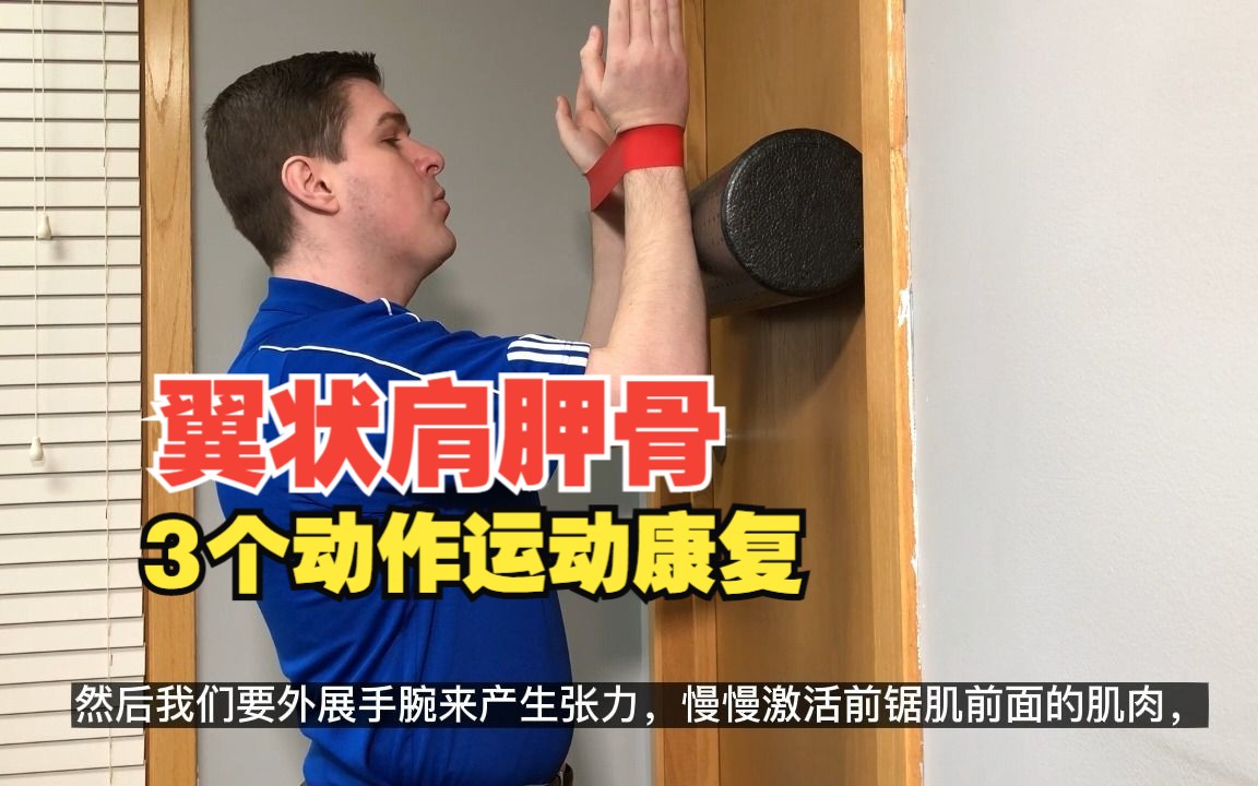 改善翼状肩胛骨,肩胛骨突出,三个动作,体态矫正,运动康复训练