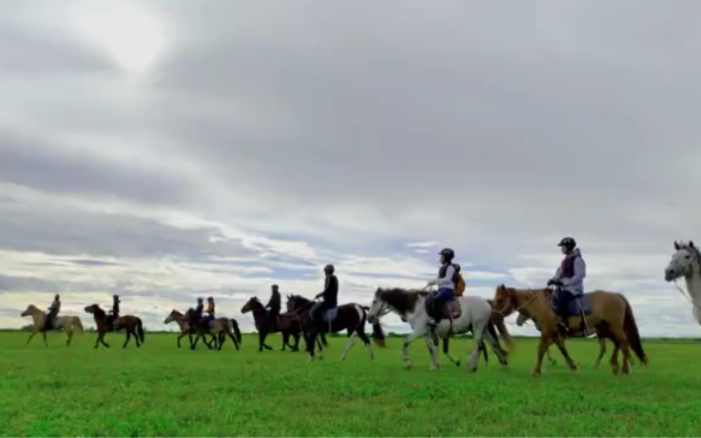 [图]骑马穿越湿地🌊骑🐎走在湿地旁边 一边是绿色的草原一边是蓝色的湿地沿路风光绝美⛅