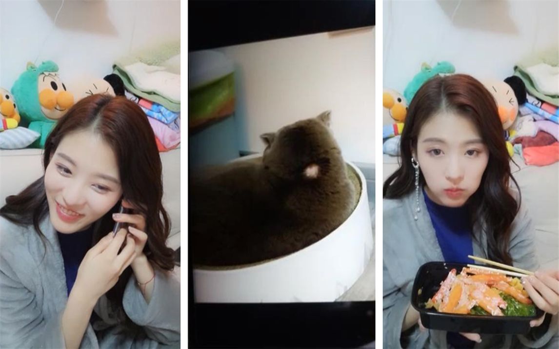 【snh48孙芮】一只猫内分泌失调?