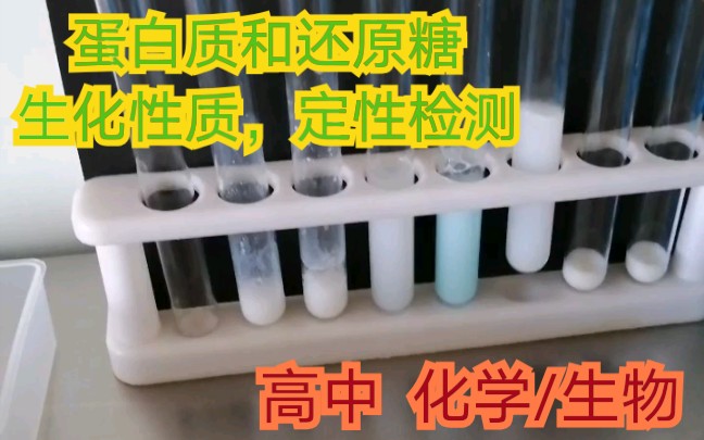 【生物实验/化学实验】蛋白质变性,牛奶中蛋白质的检测,还原性糖的检测,双缩脲反应,斐林反应哔哩哔哩bilibili