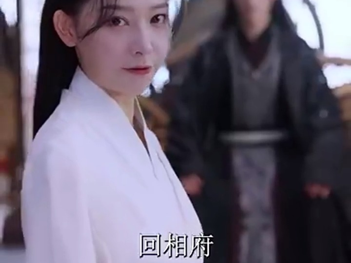 重生复仇之王妃她不好惹2