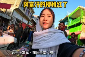 Download Video: 阿富汗的樱桃红了