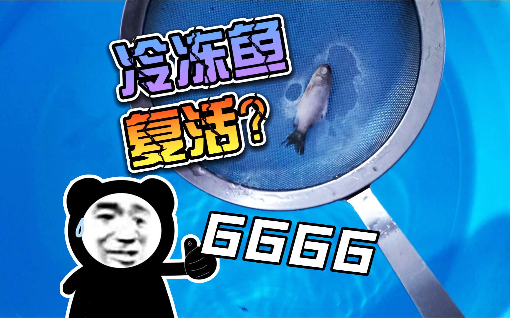 196Ⱖ𖲦𐮦ŠŠ鱼速冻,放水里竟能立马复活?哔哩哔哩bilibili