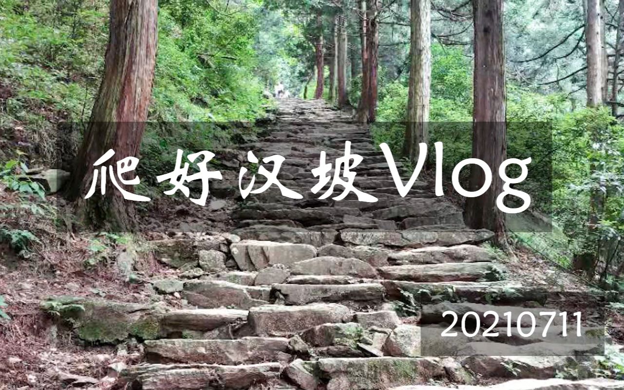 【庐山】【牯岭镇】爬好汉坡体验Vlog哔哩哔哩bilibili