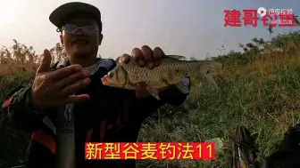 Download Video: 新型谷麦钓法最重要最关键还是学习选位置，今天时操分享野河选位