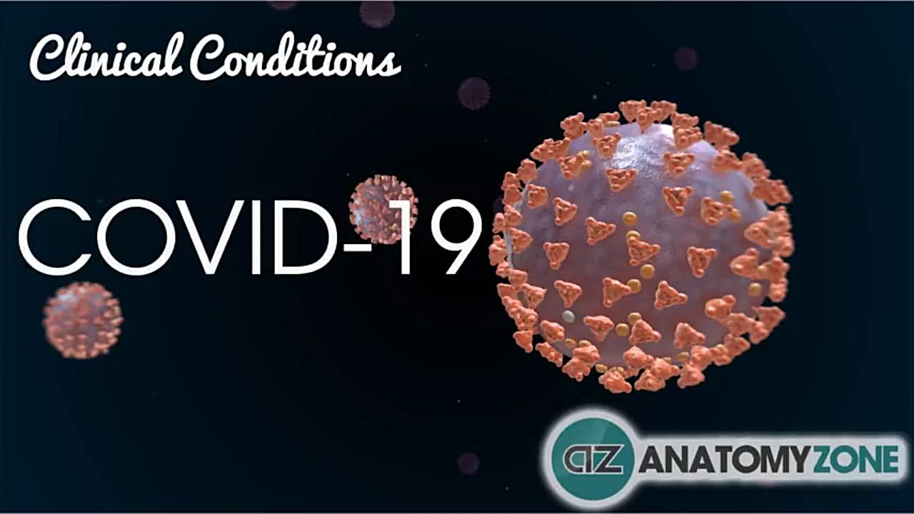 冠状病毒covid19病毒结构与发病机制