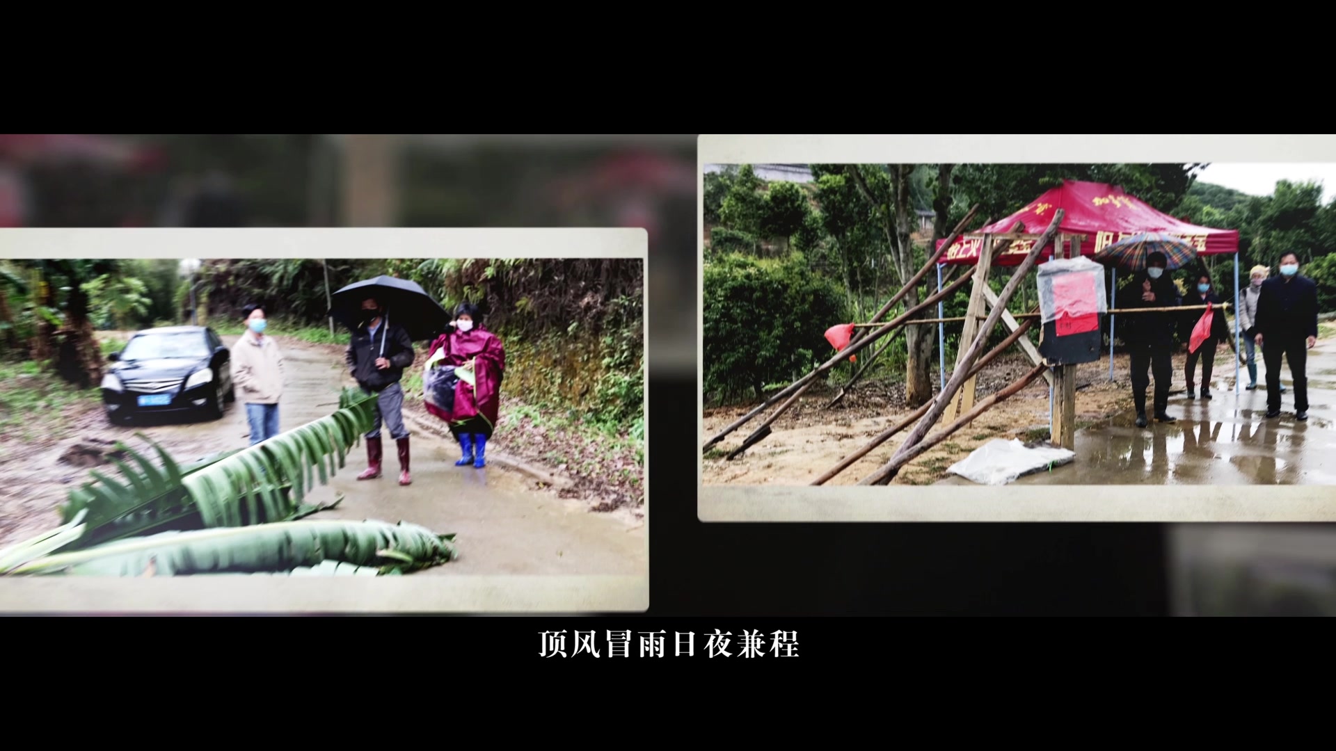 [图]大道为公，风雨同舟|星海人在抗疫路上砥砺前行