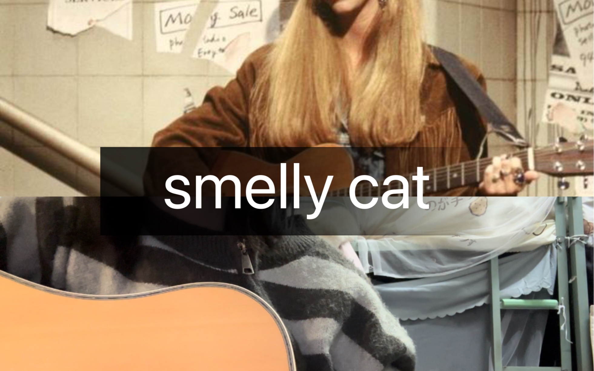 [图]世界名曲smelly cat（一些奇奇怪怪的模仿菲比的行为～ friends forever！