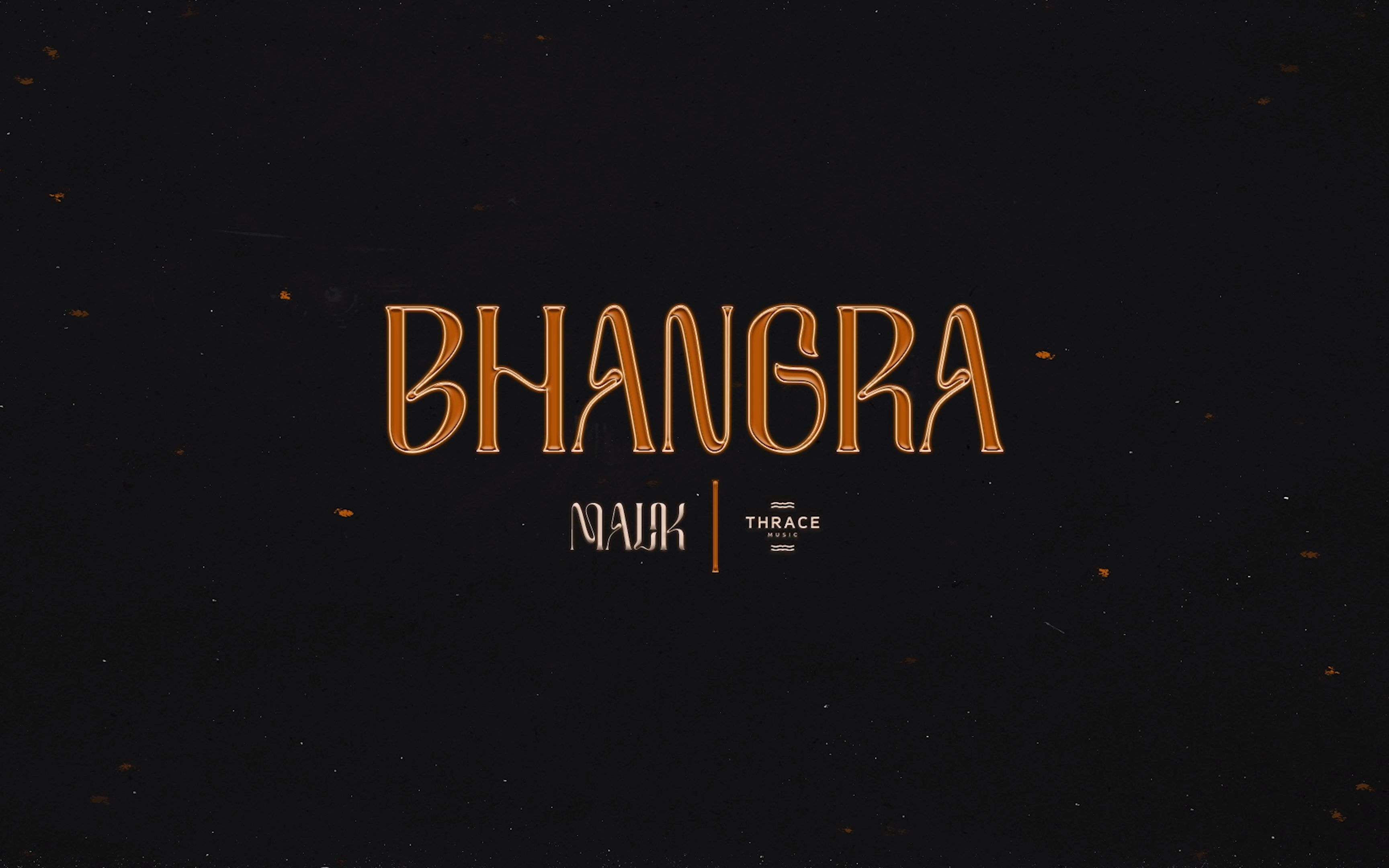 MALIK  BHANGRA (Official Audio)哔哩哔哩bilibili