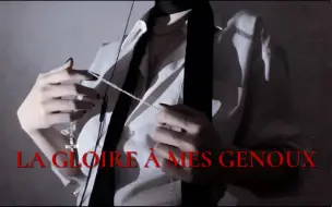 Download Video: 【翻唱】我 要 荣 耀 为 我 臣 服 / La gloire à mes genoux（超还原！