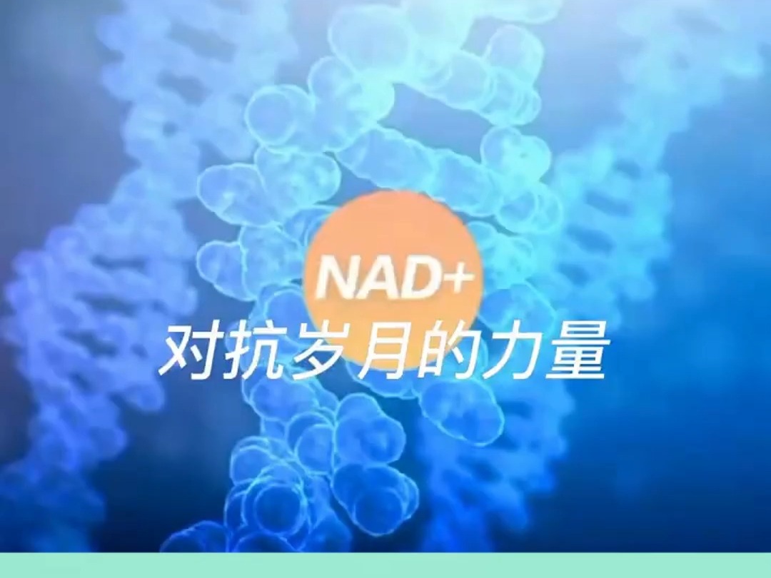 NAD+如何实现抗衰老 NAD+是延年益寿的关键分子哔哩哔哩bilibili