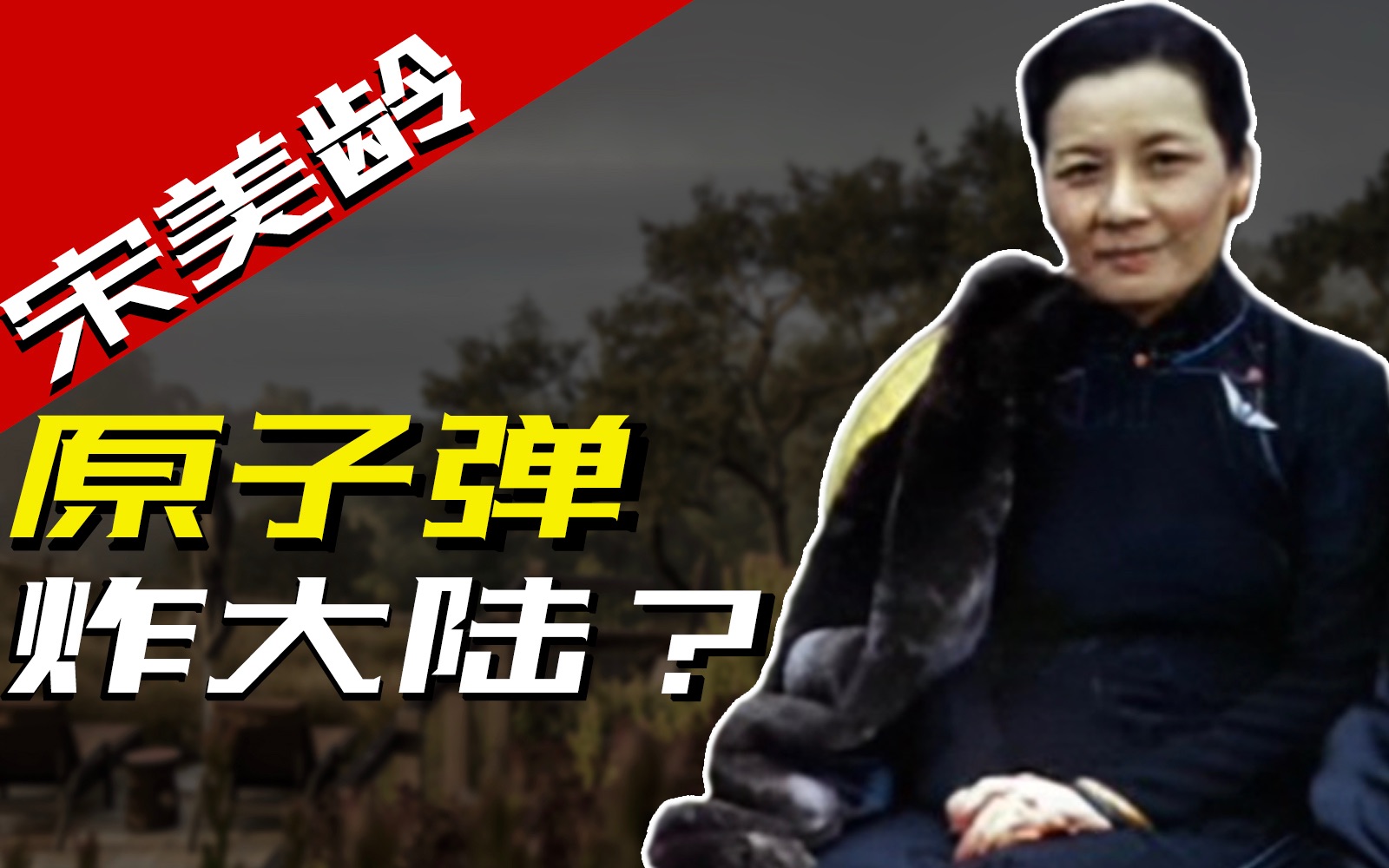 民国第一夫人宋美龄,是怎么把美国四星上将忽悠瘸的?哔哩哔哩bilibili