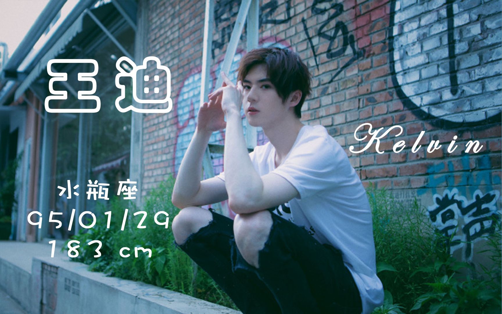 活动作品王迪kelvin安利向混剪