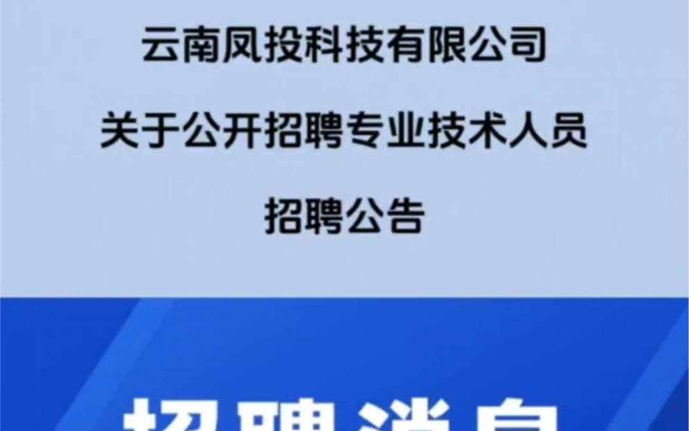 2023年云南凤投科技有限公司招聘,五险一金!哔哩哔哩bilibili