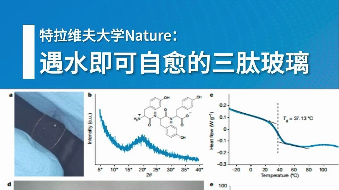 “破镜也能重圆”:遇水即可自愈的三肽玻璃哔哩哔哩bilibili