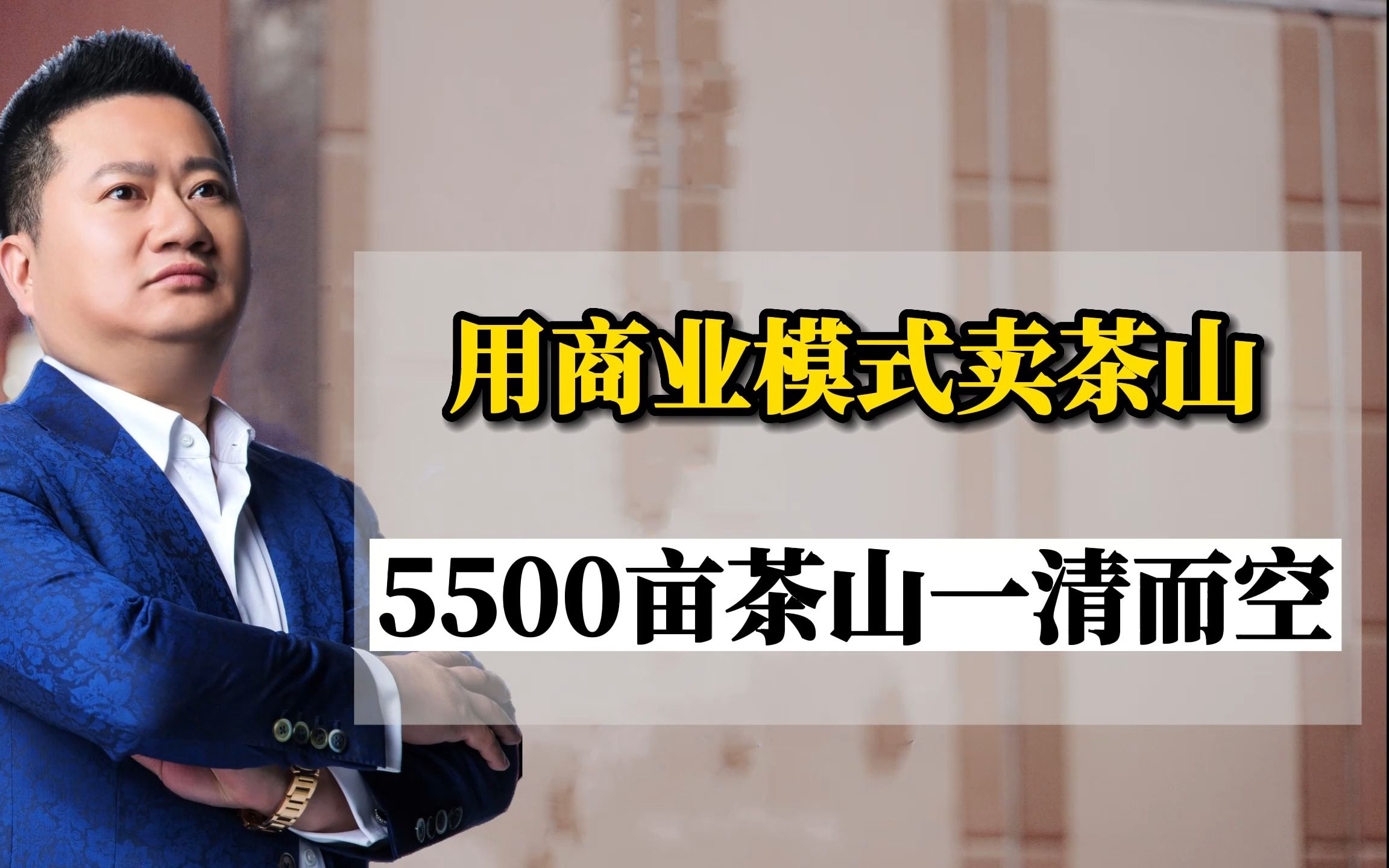 王冲:用商业模式卖茶山,5500亩茶山一清而空哔哩哔哩bilibili