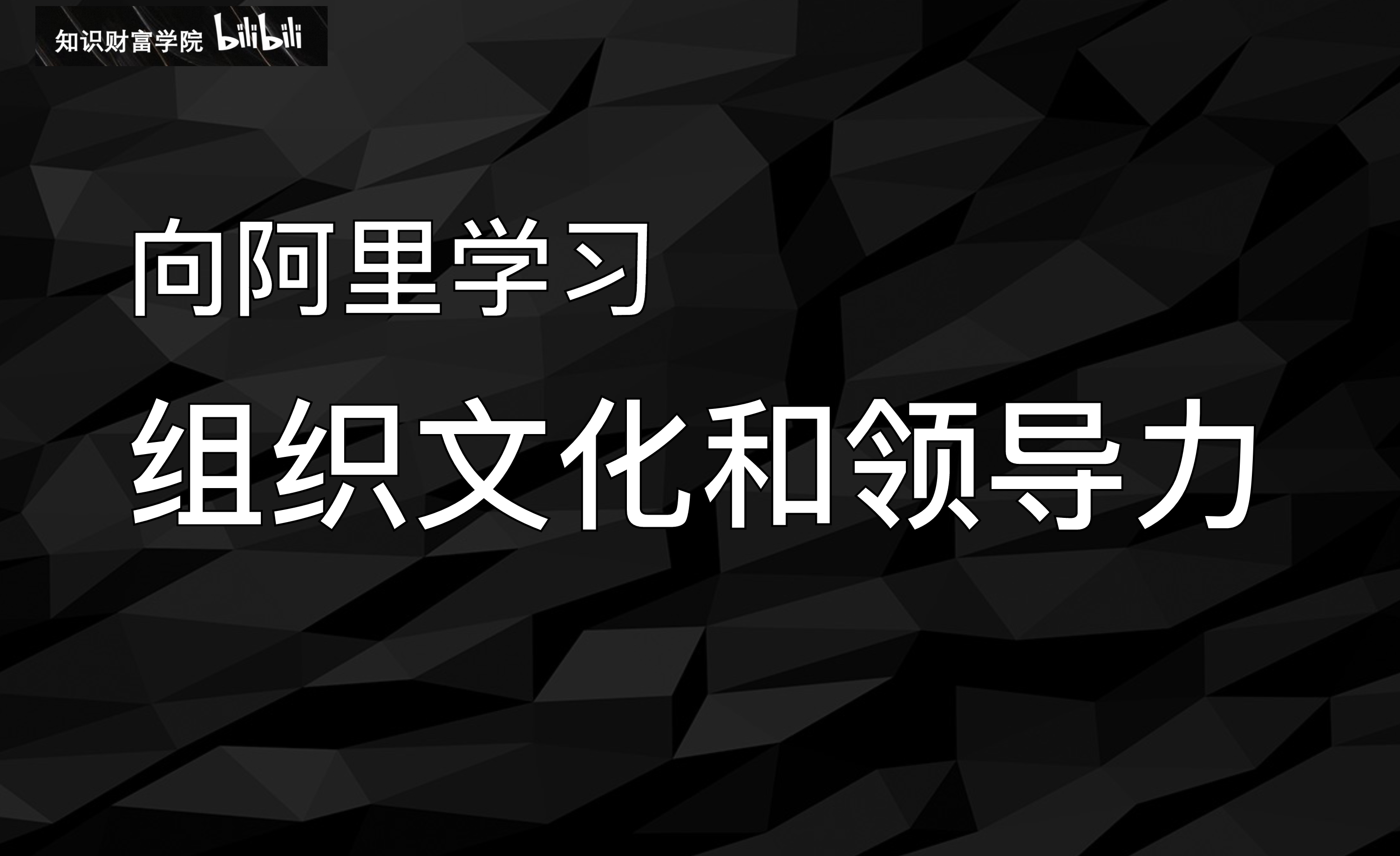 向阿里学习组织文化和领导力哔哩哔哩bilibili