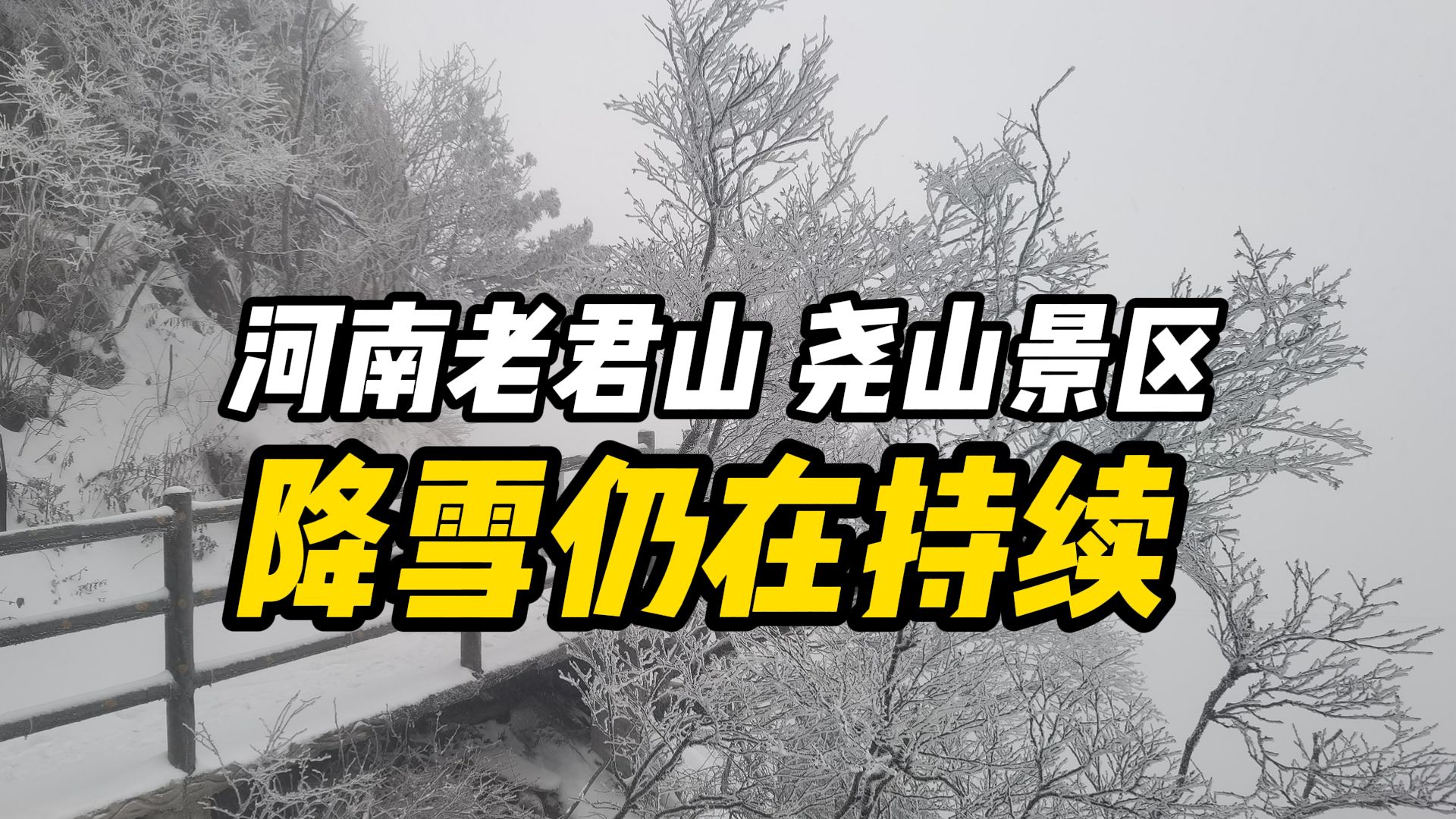 最厚30公分!河南老君山、尧山景区降雪仍在持续哔哩哔哩bilibili