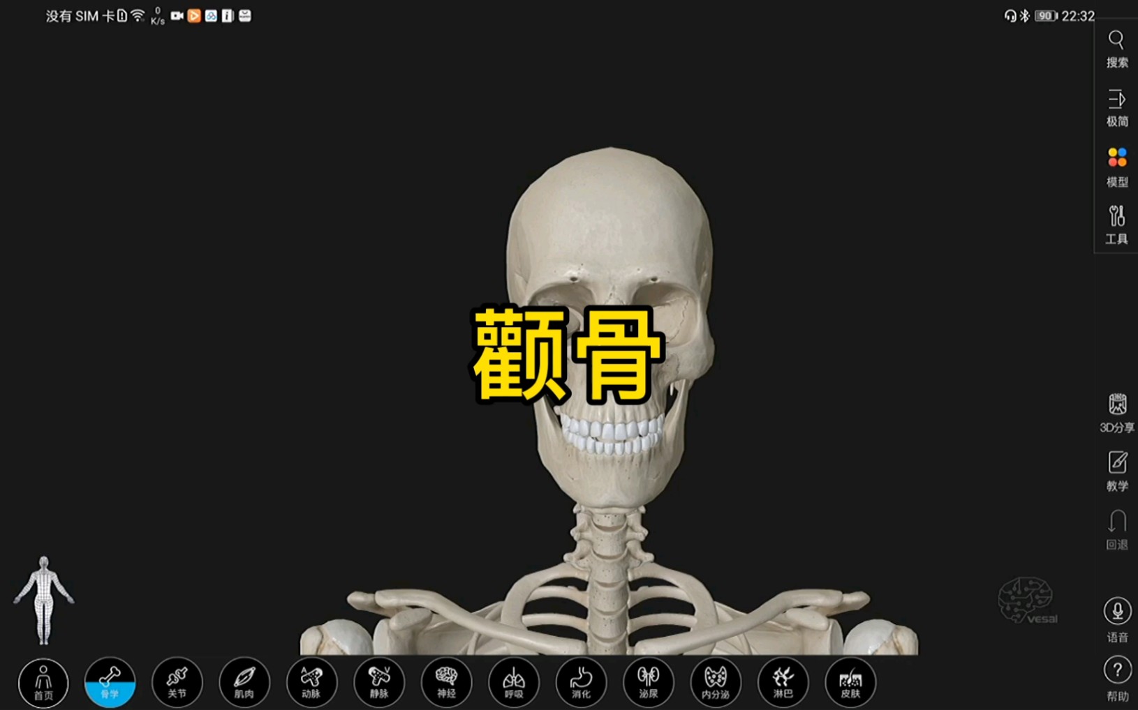 颧骨的3D解剖哔哩哔哩bilibili