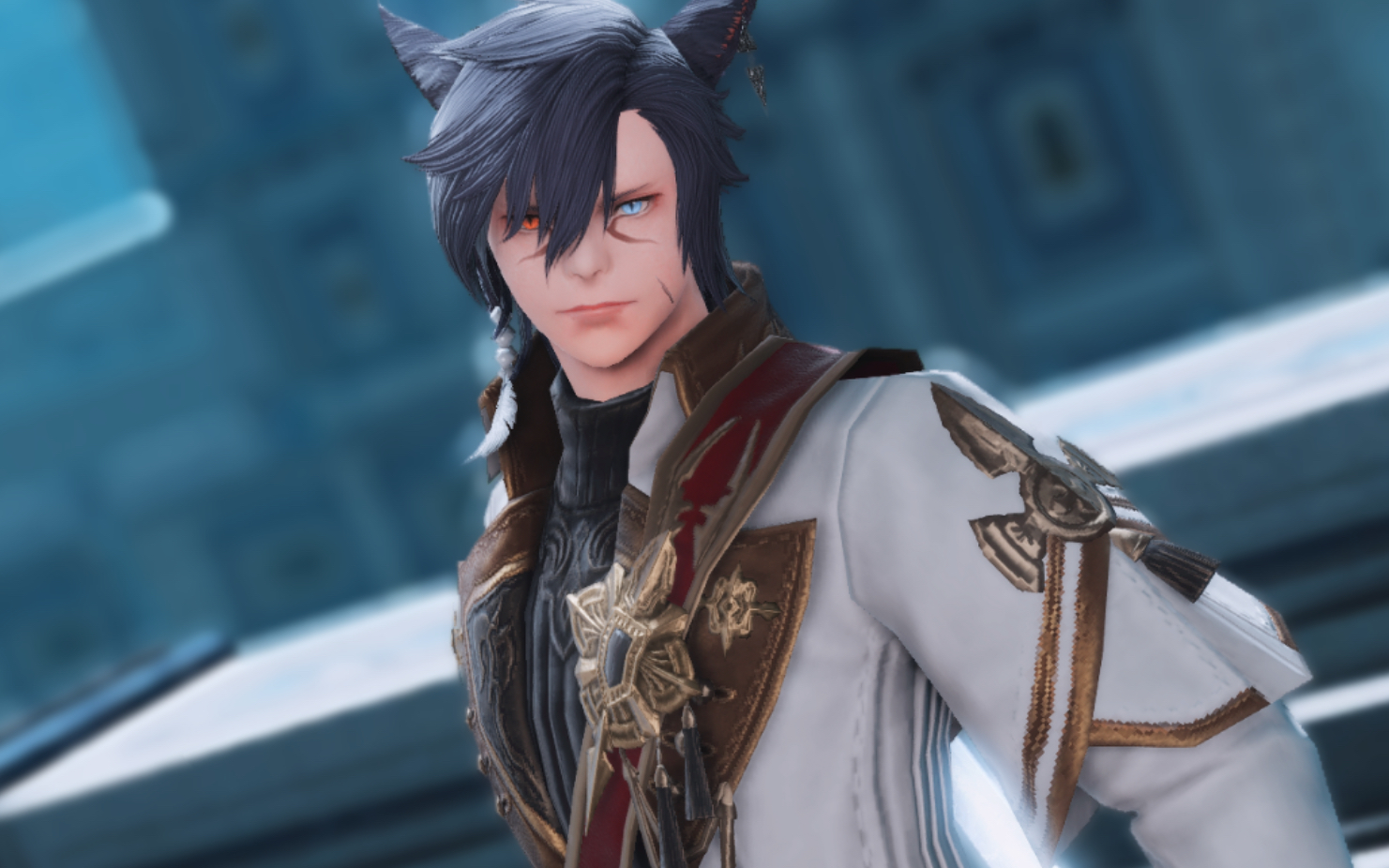 猫男没有你我可怎么活啊!