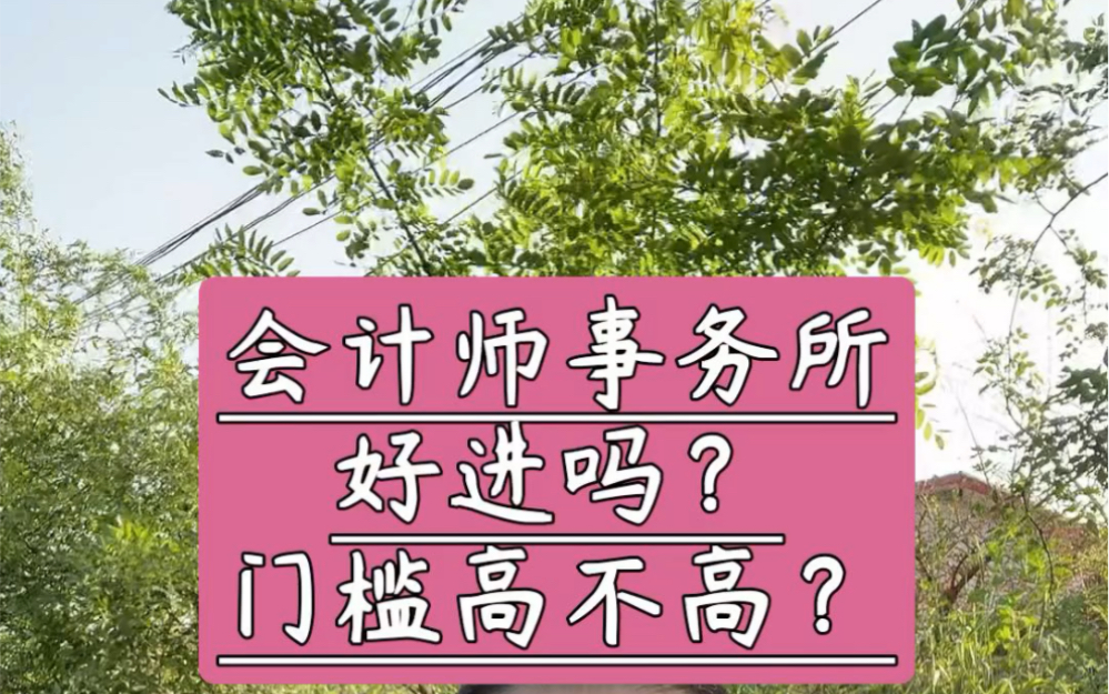 会计师事务所难进吗?哔哩哔哩bilibili