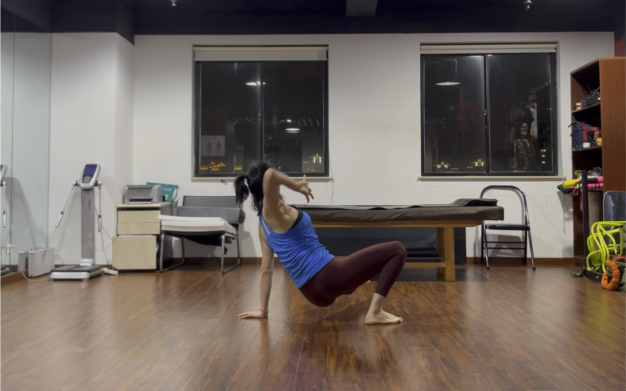 动物流第四集:侧踢