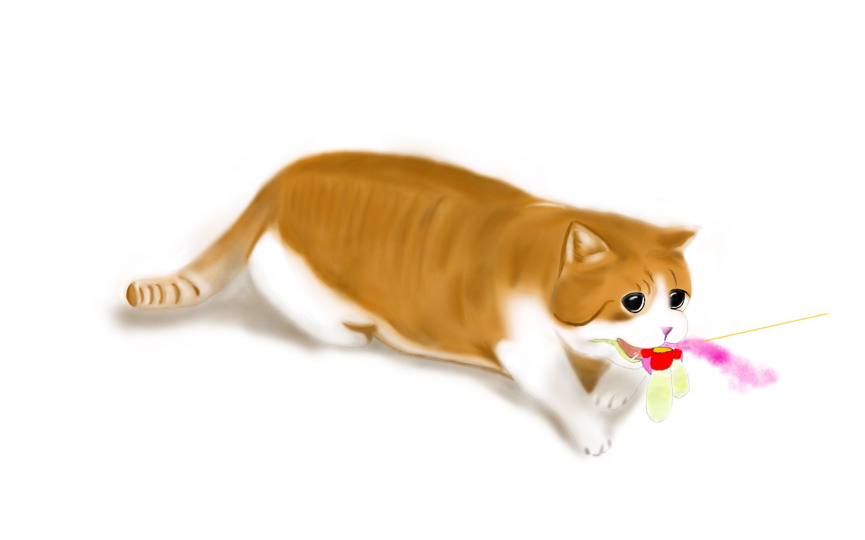 sketchbook绘画花花与三猫之橘猫猪皮小可爱