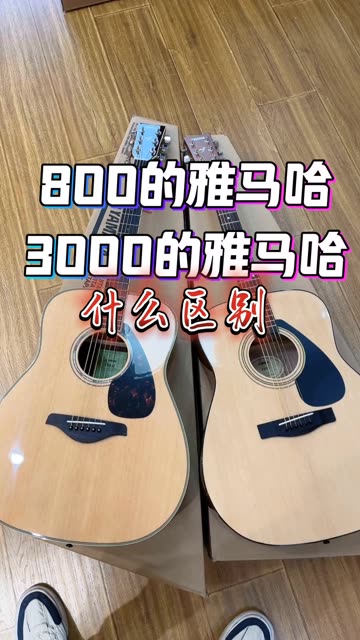 雅马哈f310nt,fg830两者的差距大不大6015