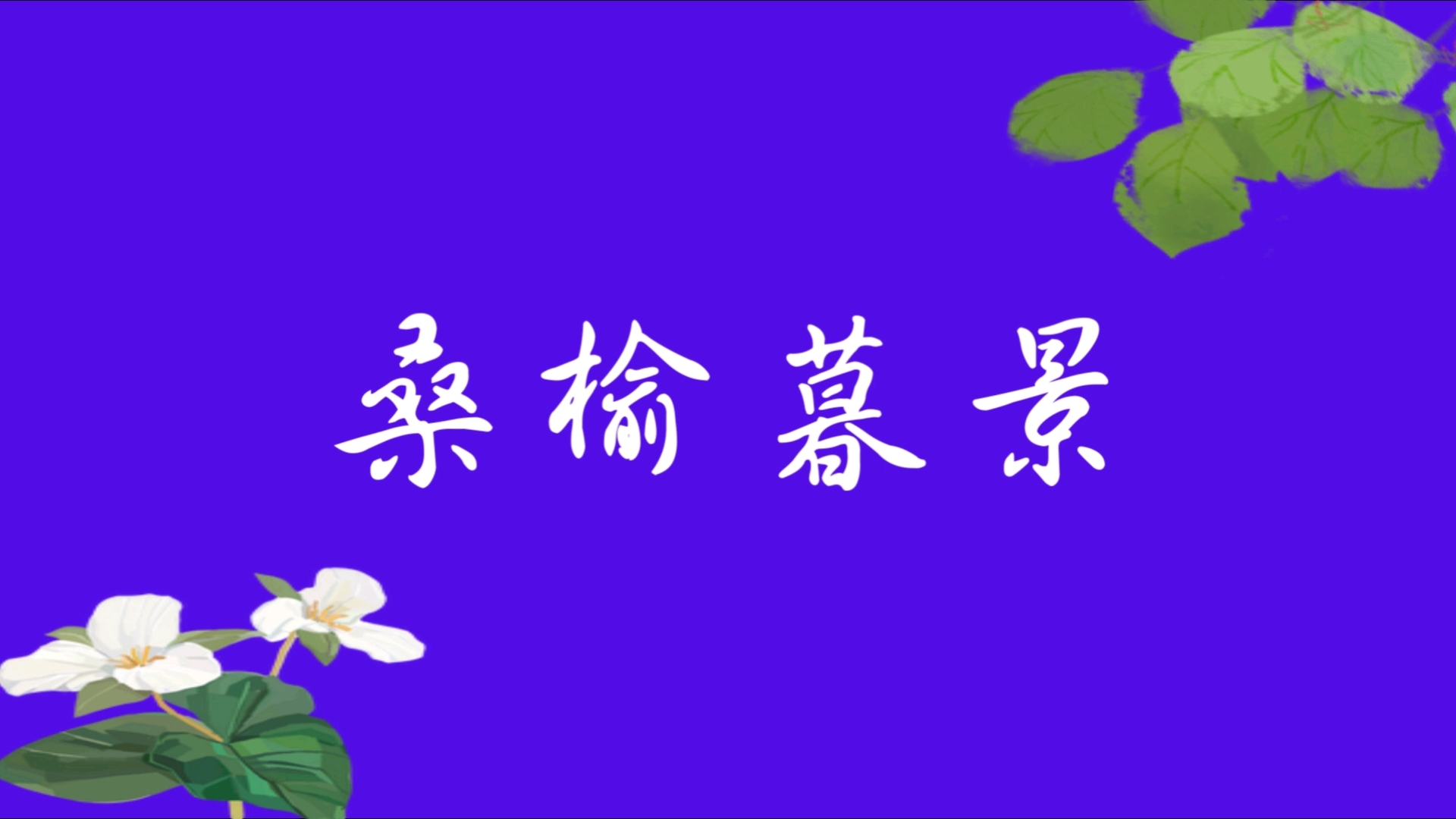 桑榆暮景 | 每天积累一个成语哔哩哔哩bilibili