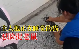 Télécharger la video: 真被迫营业！主人抱熟睡猫咪怼脸捉老鼠