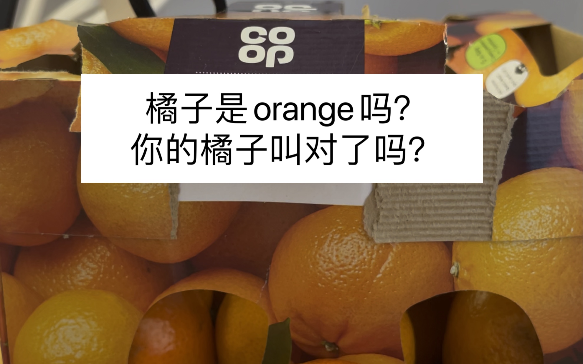 全英文| 橘子叫orange吗?你叫对了吗? 划重点: tangerine橘子 clementine 小柑橘 citrus fruits 柑橘类水果哔哩哔哩bilibili