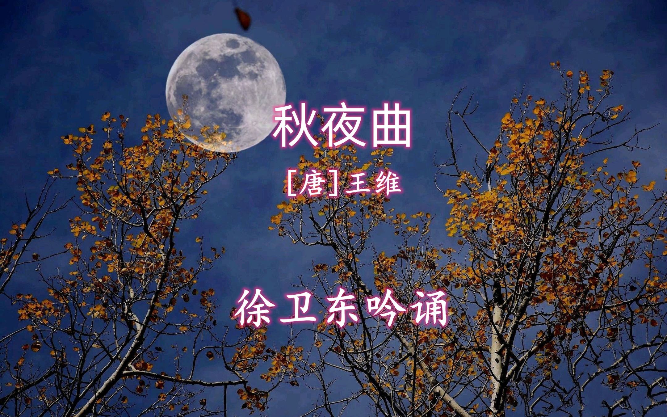 [图]《秋夜曲》（王维），徐卫东教授吟诵，好听好看又好学