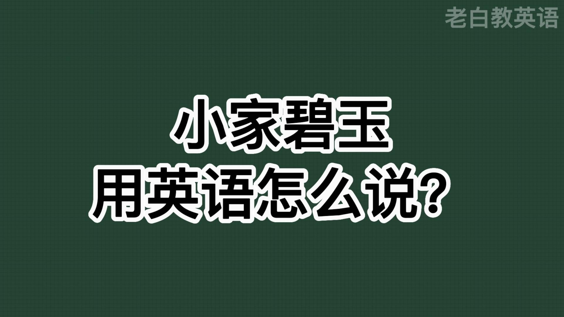 小家碧玉用英语怎么说?哔哩哔哩bilibili