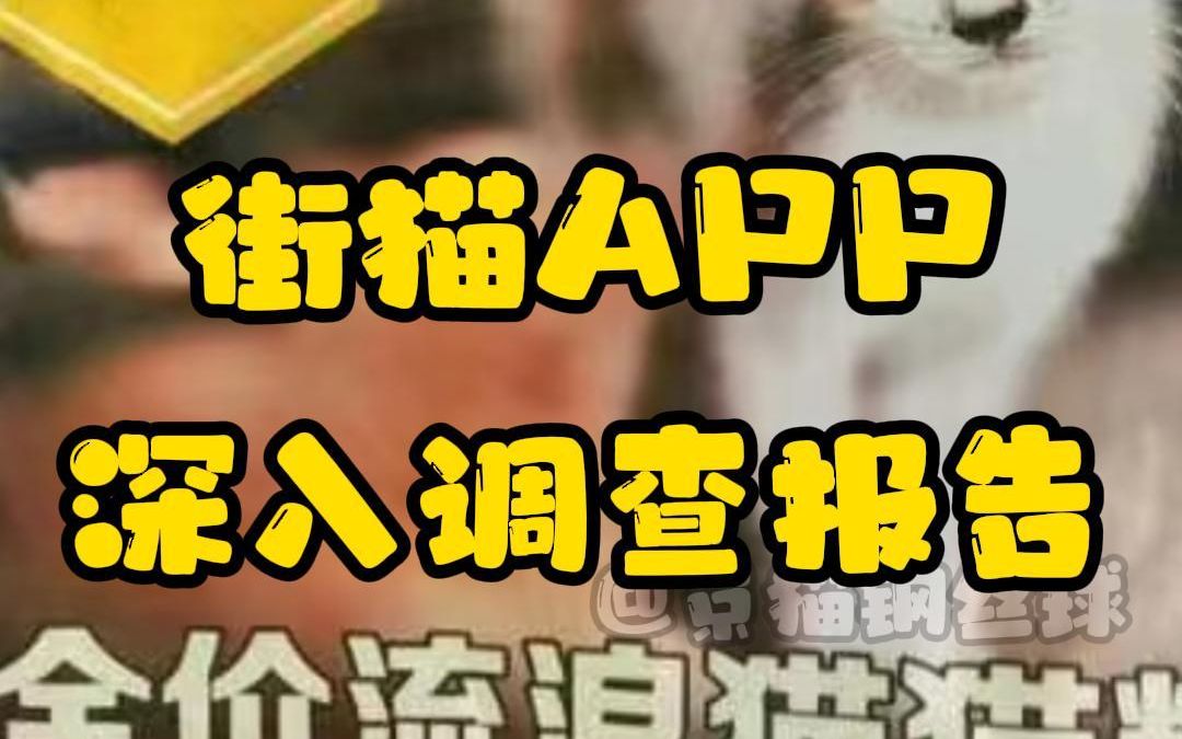 [图]街猫app深入调查报告