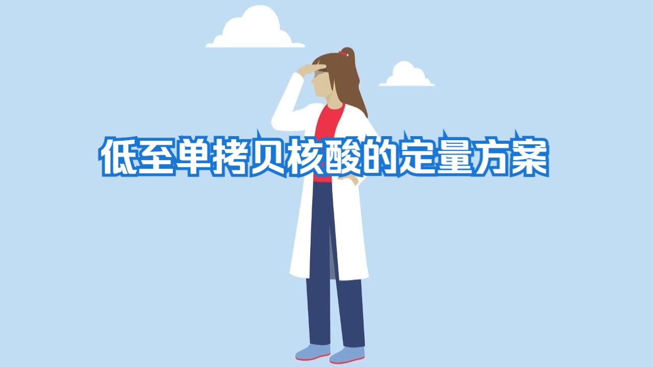 低至单拷贝核酸的定量方案