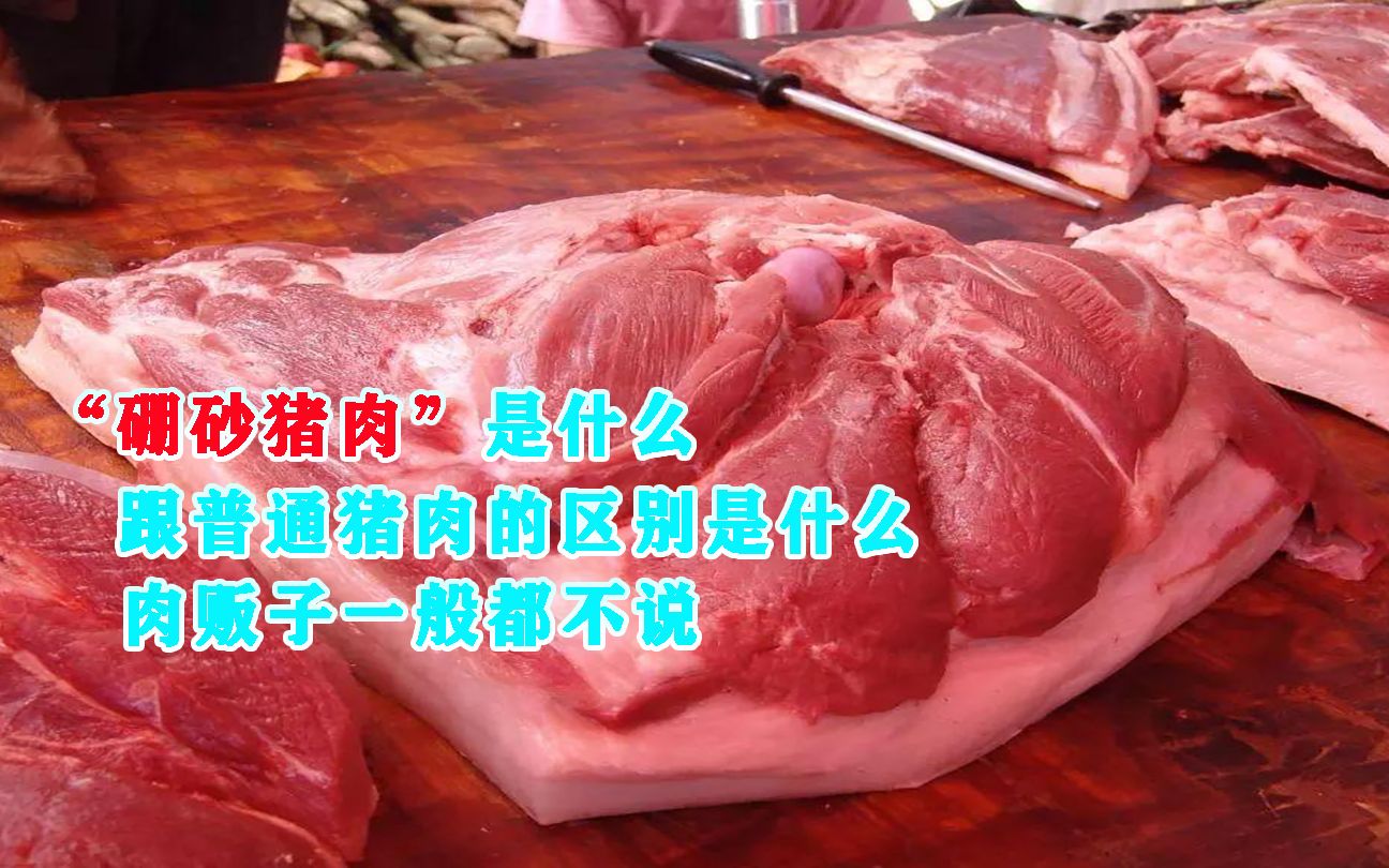 “硼砂猪肉”是什么?跟普通猪肉的区别是什么,肉贩子一般都不说哔哩哔哩bilibili