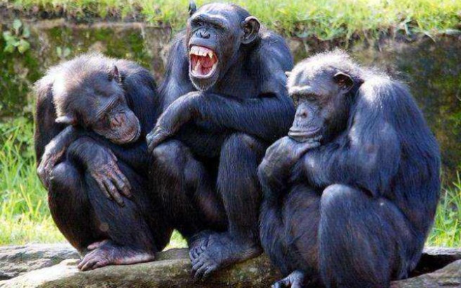 《王者荣耀》原始人的野蛮行为,抓住机会疯狂推塔