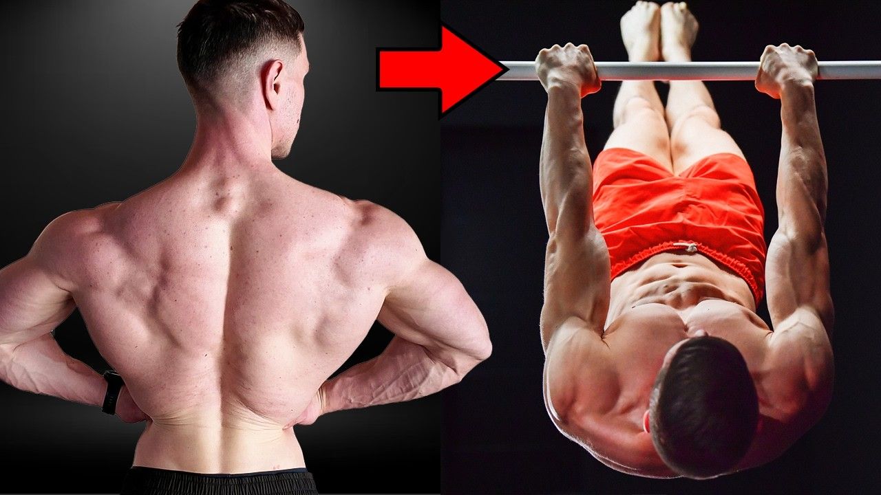 【FitnessFAQs】鲜有人知的引体向上平替练背动作-亚伯健身房-亚伯健身房-哔哩哔哩视频