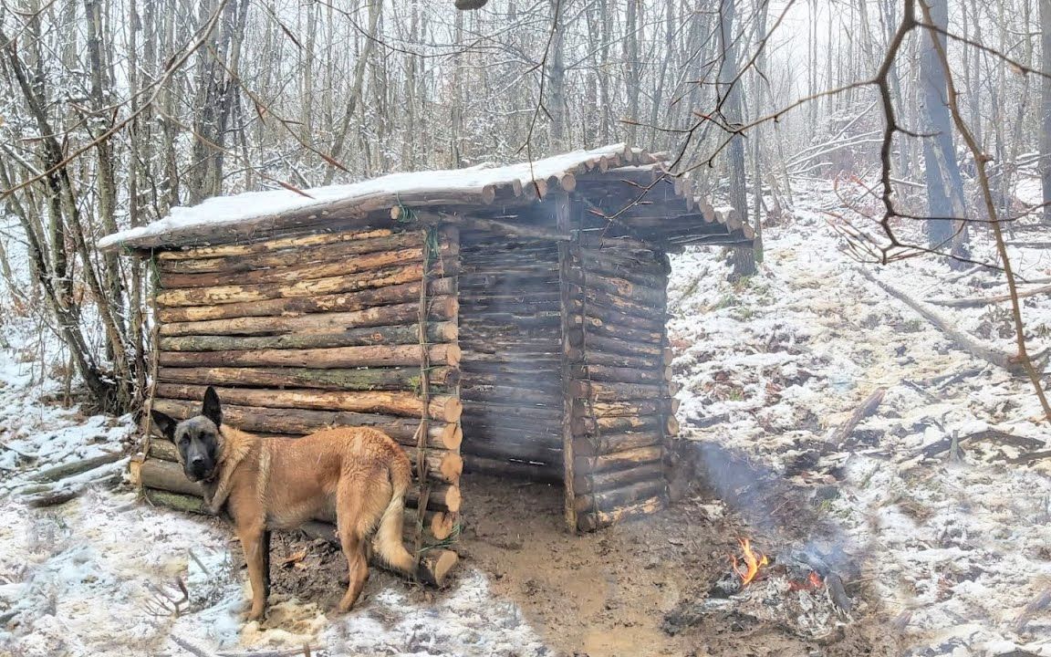 冬季露营 雨雪冰雹 搭建丛林庇护所_哔哩哔哩_bilibili