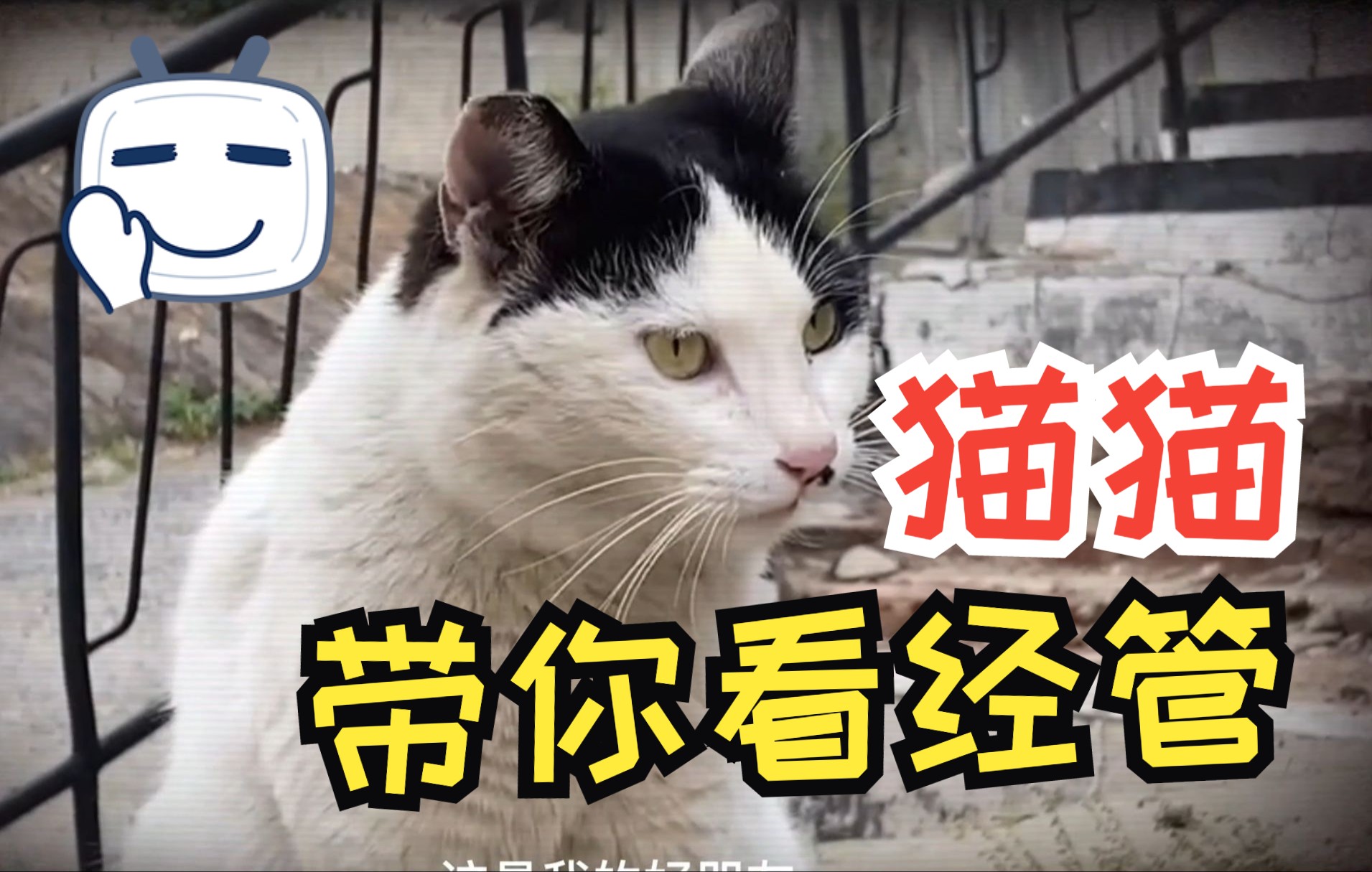 猫猫带你看经管——大连理工大学经济管理学院哔哩哔哩bilibili