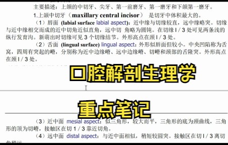 [图]学习必看！《口腔解剖生理学》学习笔记+知识点总结 名词解释 试题及答案 专业课 期末考试 考研