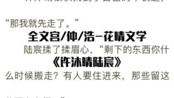 热门分享《许沐晴陆宸》全章节小说阅读《陆宸许沐晴》哔哩哔哩bilibili