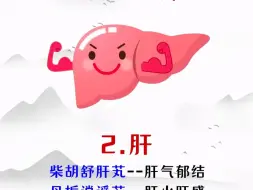 Download Video: 五脏最喜欢的中成药，收藏好了！