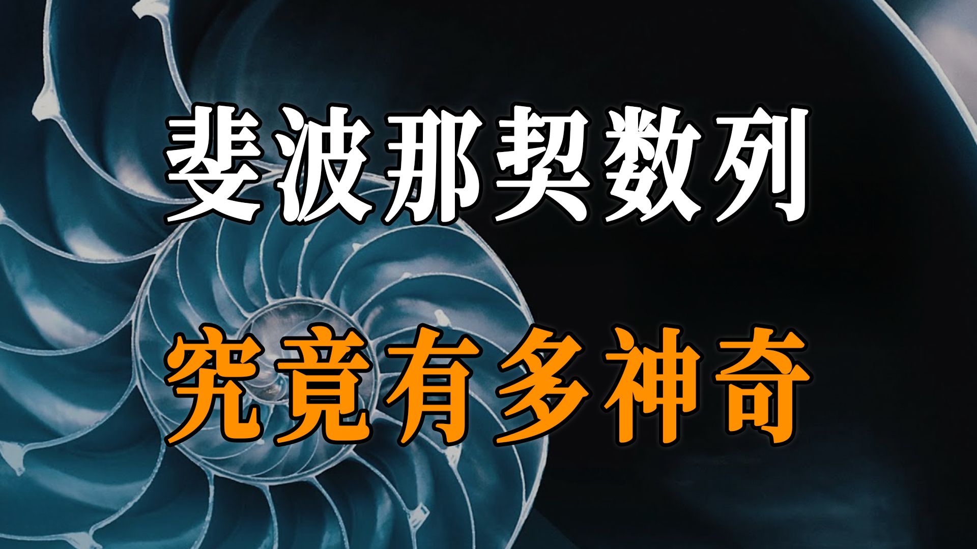 坐拥世间一切的裴波那契数列,究竟有多神奇?哔哩哔哩bilibili