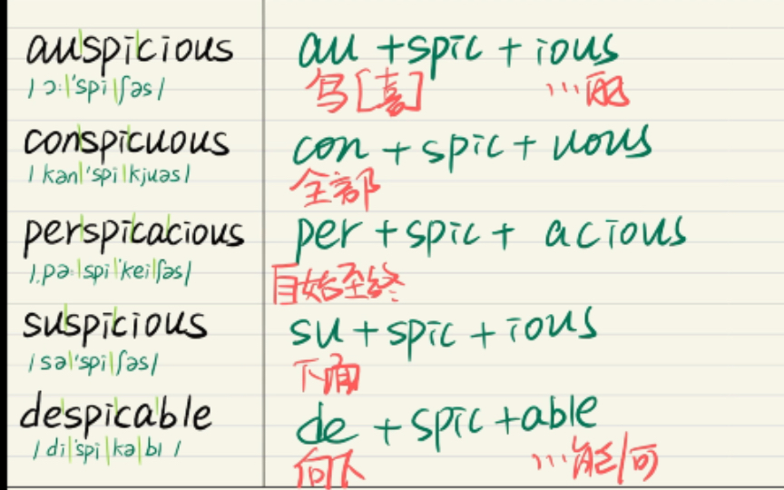 词根spic【看/看见】5个形容词哔哩哔哩bilibili