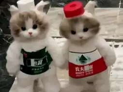 Скачать видео: 送猫啦！喜欢就来带走一只吧！